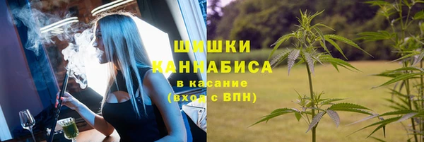 эйфоретик Каменногорск