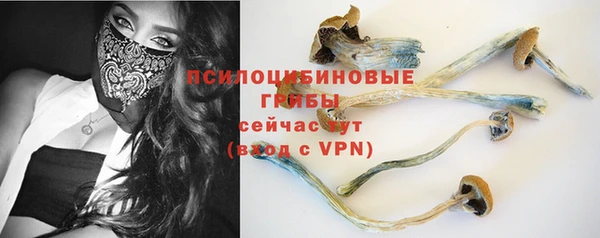 ALPHA PVP Иннополис