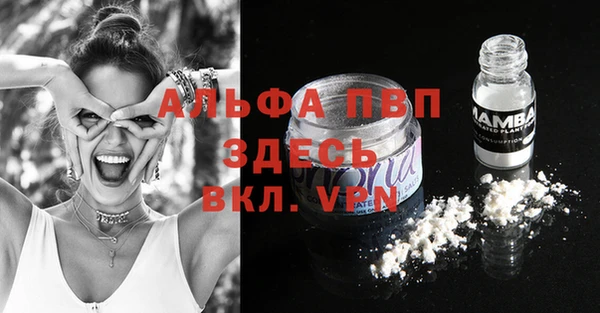экстази Арсеньев