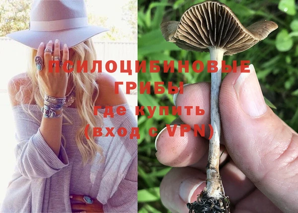 а пвп мука Аркадак